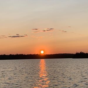 Meet your Posher, Amelia